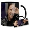 Raphael A Mt Tasse