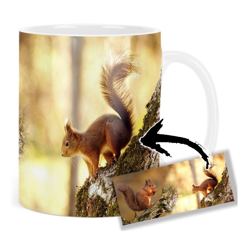 Squirrel Mt Tasse