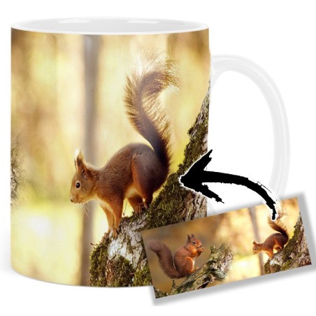 Squirrel Mt Tasse