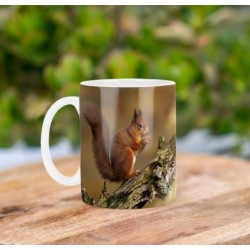 Squirrel Mt Tasse