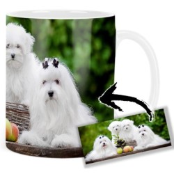 Bichon Maltese Mt Mug