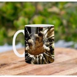 Bioshock 2 Breaking Glass Mt Tazza