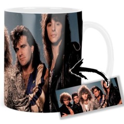 Bon Jovi Mt Tasse