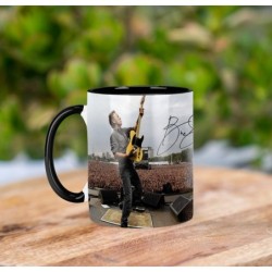 Bruce Springsteen B Mt Tasse