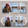 Forrest Gump Tom Hanks Mt Taza