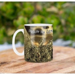 Korn Follow The Leader Mv Tasse