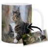Norwegian Forest Cat Mt Tasse